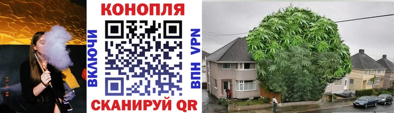 МАРИХУАНА конопля Череповец